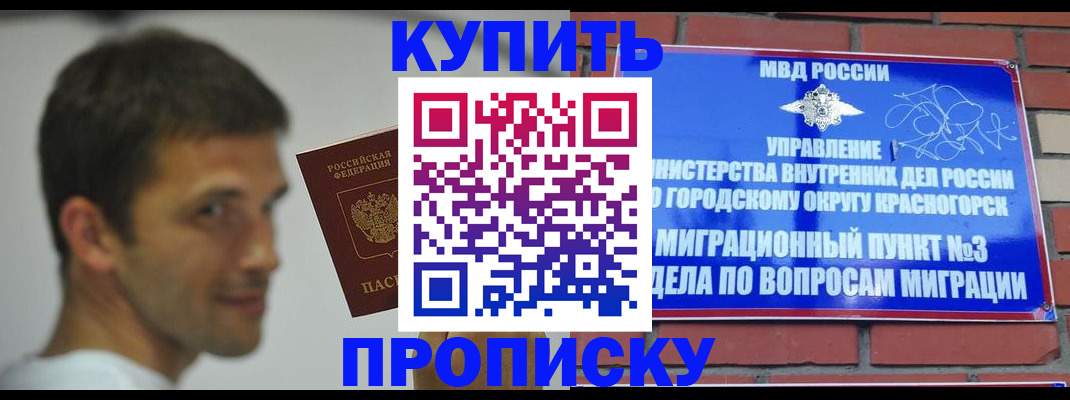 временная регистрация 2025 в Светлограде