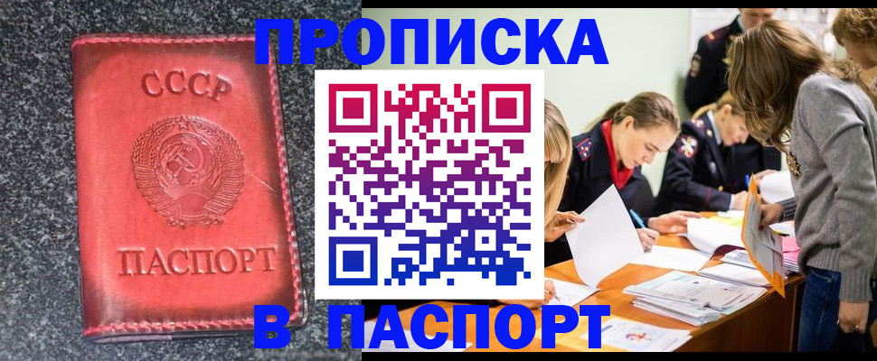 прописка для школы в Светлограде